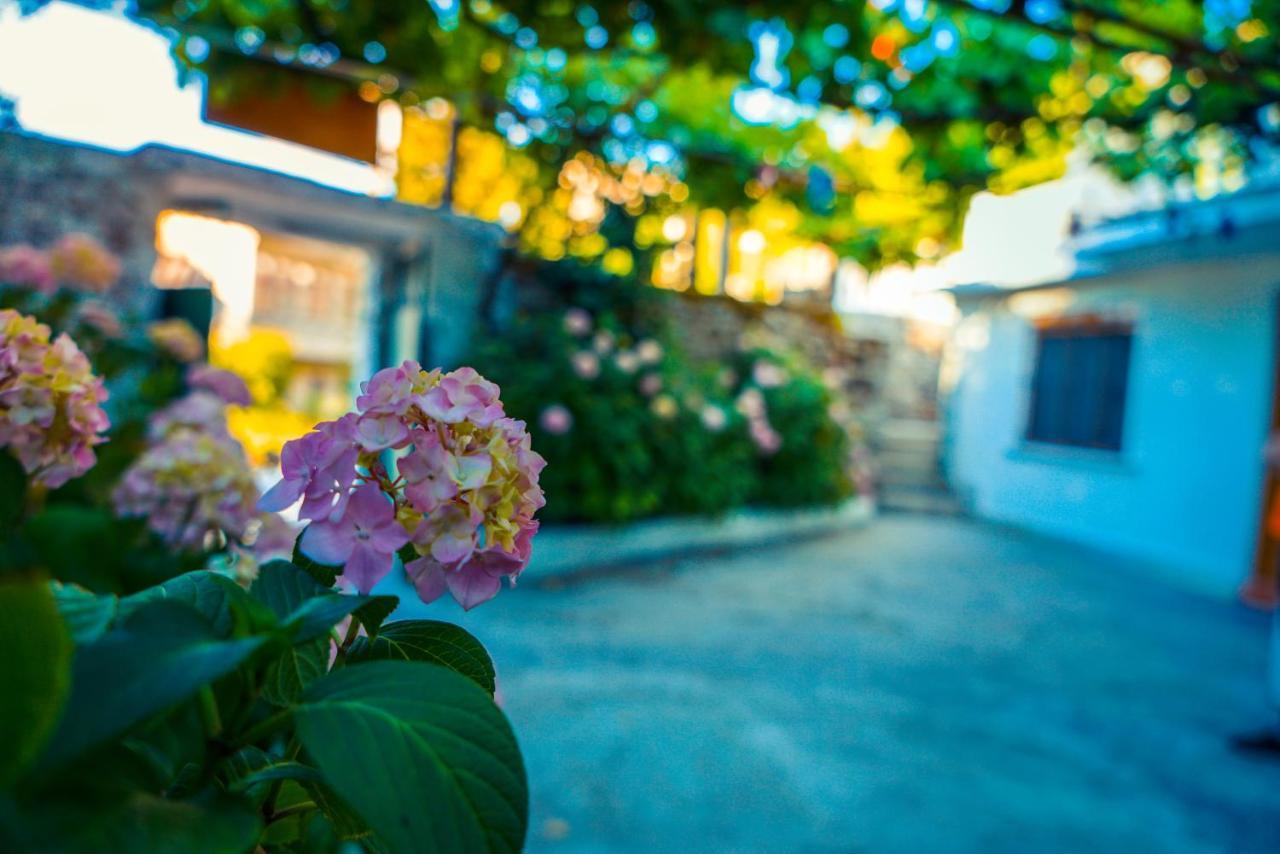 Hotel The Fir Gate Gjirokastra Zewnętrze zdjęcie