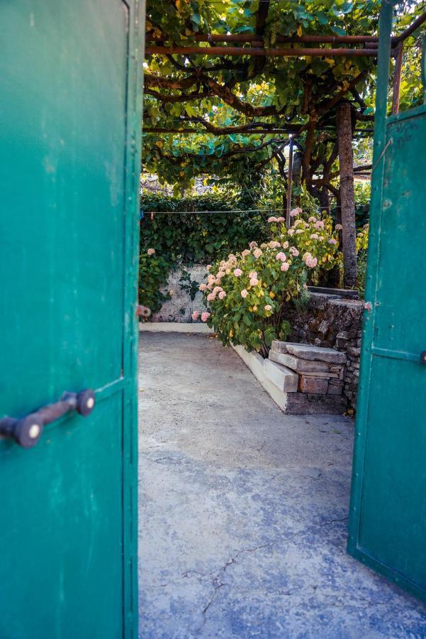 Hotel The Fir Gate Gjirokastra Zewnętrze zdjęcie